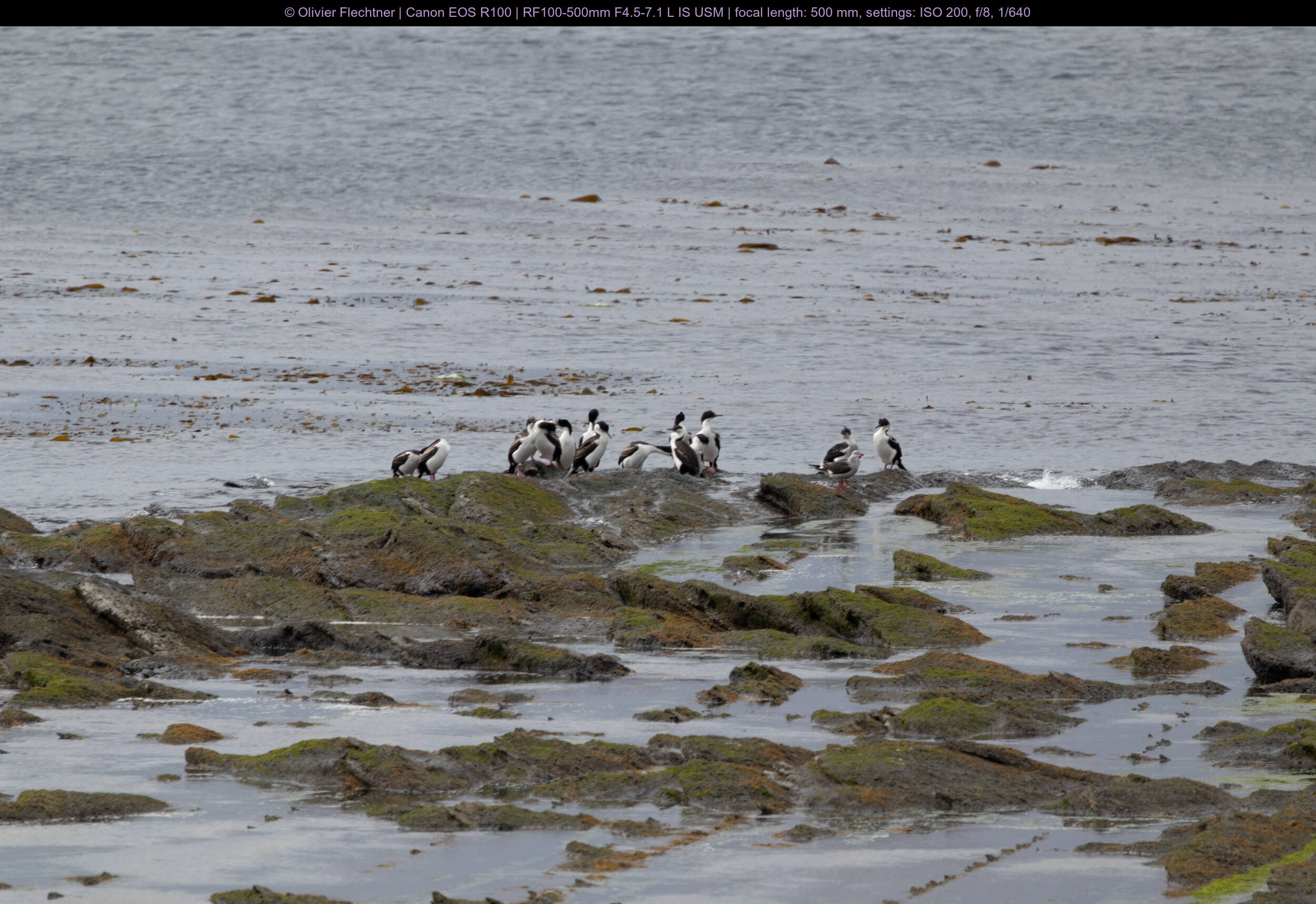 _MG_1807 _MG_1807