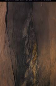 MG_2302-Verbessert-RR