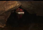 MG_2324-Verbessert-RR