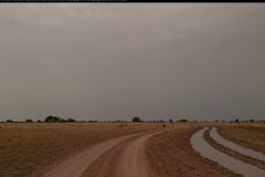 CRW_5297
