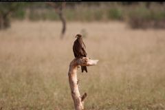 CRW_5353