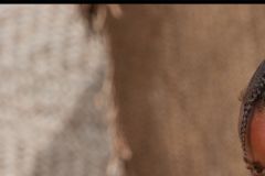 CRW_5364