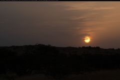 CRW_5445