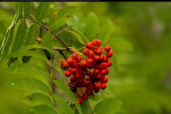 IMG_2851 IMG_2851