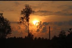 IMG_3119