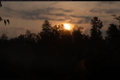 IMG_6230