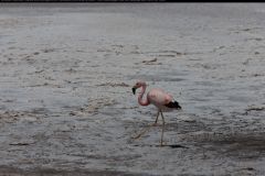 IMG_3581