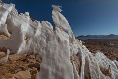 IMG_4249