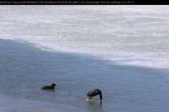 MVI_3475-1