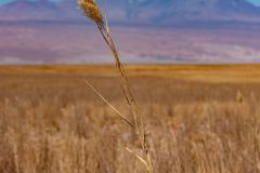 IMG_2066