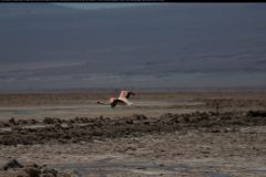 IMG_2961