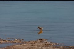 IMG_2067