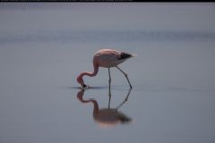IMG_3020
