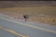 IMG_3936