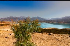 IMG_5309 IMG_5309