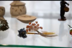 IMG_1270