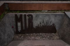 IMG_2010
